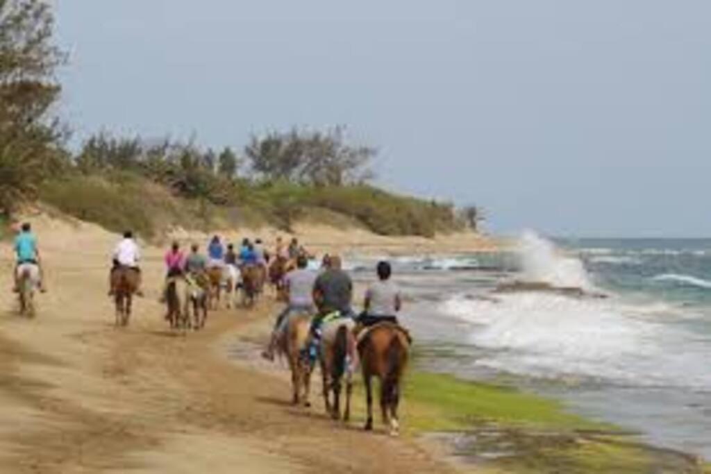 Haudimar Ph Beachfront Apt 4Br/3Bath Isabela Esterno foto